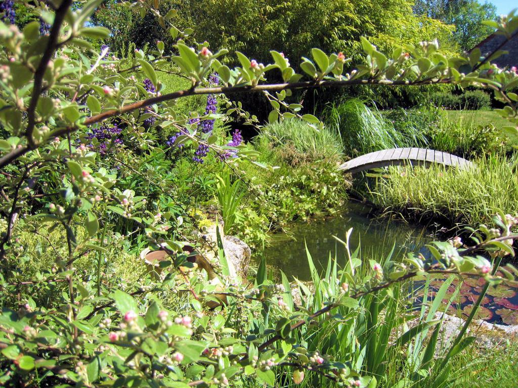 Bed and Breakfast La Clef Des Champs La Roche-en-Brenil Exterior foto